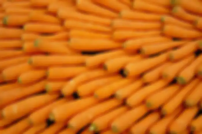 Mengenal Vitamin A