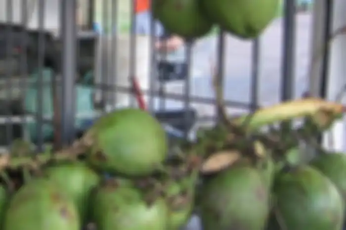 Air Kelapa Muda Bikin Lelah