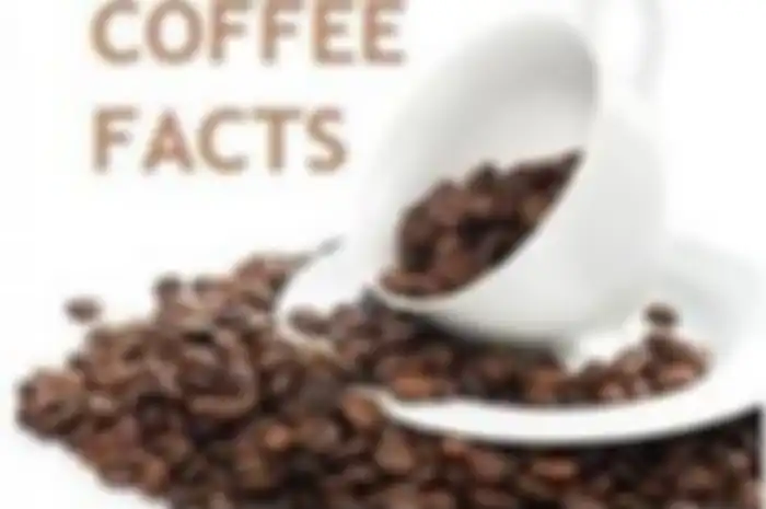 Fakta kopi yang jarang kita ketahui, salah satunya bisa digunakan untuk membasmi serangga.