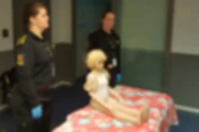 Boneka seks dianggap bisa menyalurkan hasrat pedofil sehingga mencegah mereka melakukan kekerasan seksual pada anak-anak