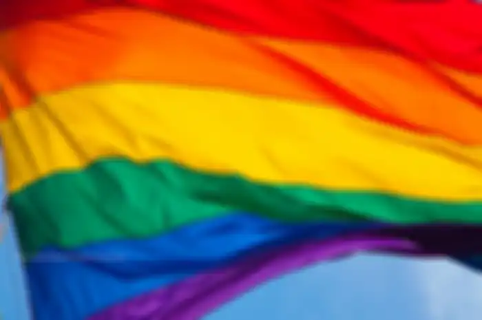 Selain pelajaran biologi tentang reproduksi manusia, ada istilah-istilah lain tentang orientasi seksual yang mungkin belum Anda ketahui artinya.