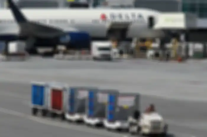 Pilot itu menduga burung yang sangat kecil itu adalah burung kolibri. Namun pihak maskapai hanya menyebutnya sebagai 'penumpang gelap'.