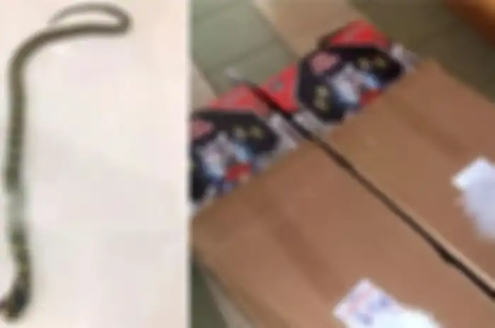 Ada tambahan yang mengejutkan ketika kotak ini dubuka.