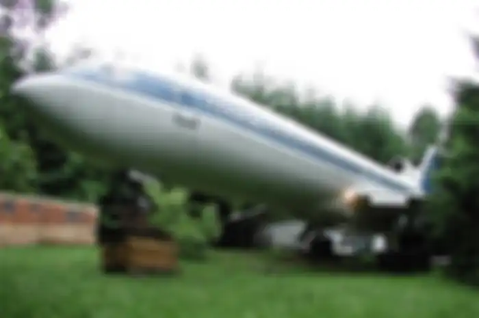 Dilaporkan, Bruce juga mengubah pesawat Boeing 747 yang berada di Jepang dan menjadikannya rumah.