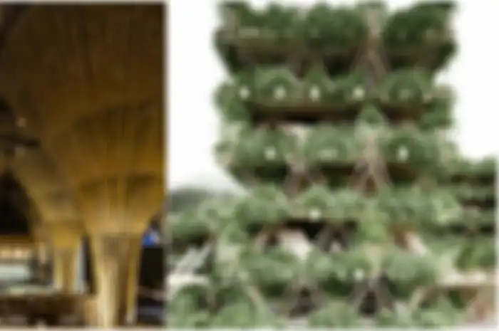 Perusahaan desain dan arsitektur  berikut mengubah bambu menjadi kontruksi bangunan yang begitu inovatif dan indah. 