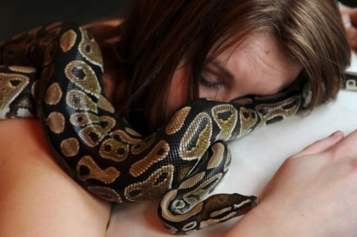 Ketika seorang wanita tidur dengan seekor ular piton setiap malamnya, dokter ungkap sesuatu yang mengerikan.