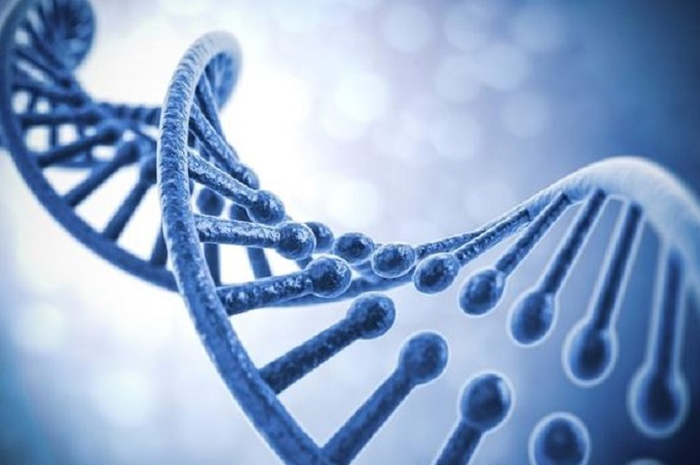 Biologi adalah kajian tentang kehidupan, dan organisme hidup, termasuk struktur, fungsi, pertumbuhan, evolusi, persebaran, dan taksonominya.