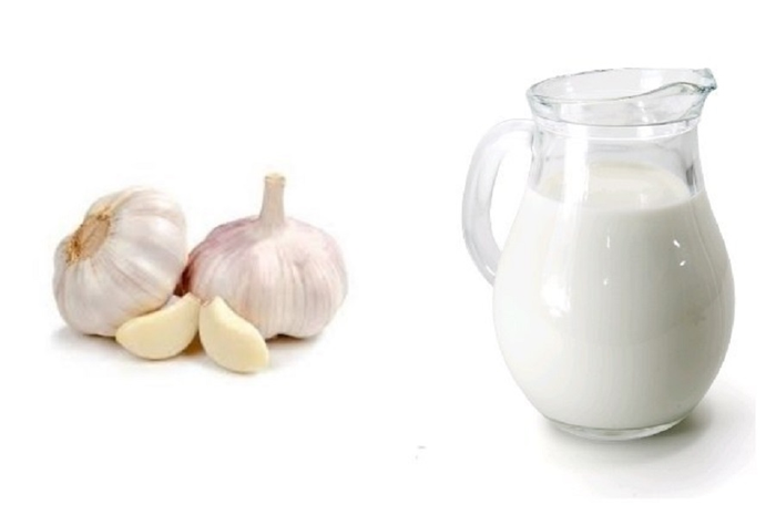 Menurut Ayurveda, meminu campuran bawang putih dan susu setiap hari dapat mengobati lebih dari 8 gangguan kesehatan.