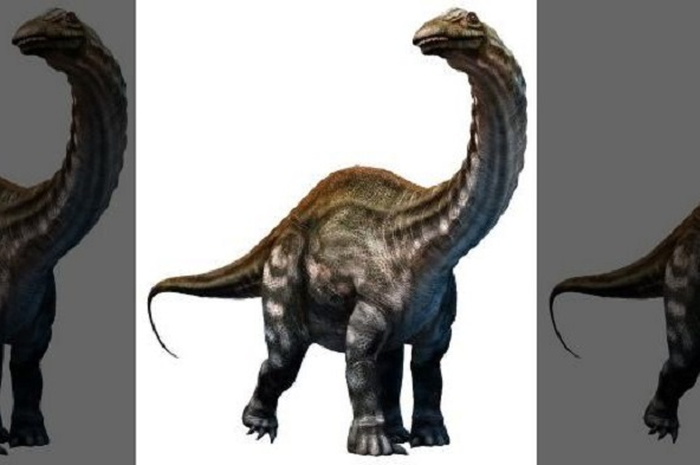 "Setelah sekitar setengah jam mencari, saya melihat jejak itu dan dapat segera mengenalinya sebagai jejak dinosaurus sauropoda," kata Clark.