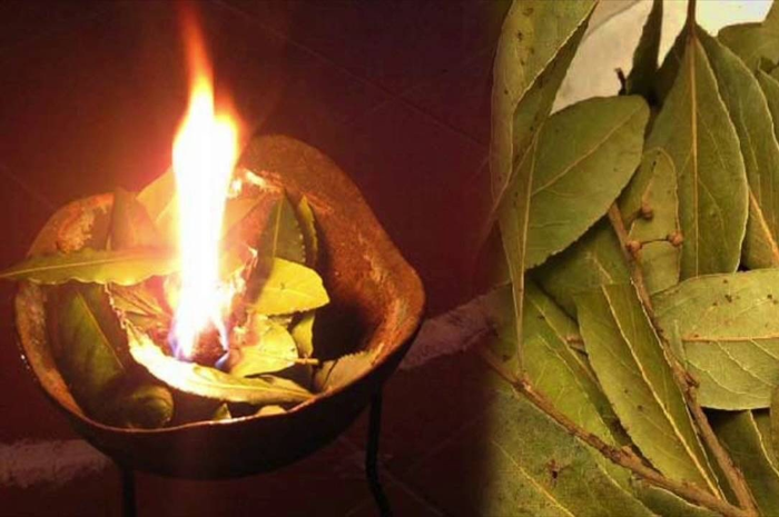 Penggunaan smudging yang mirip aromaterapi ternyata bisa menjadi luar biasa jika kita menggunakan daun salam sebagai bahan dasarnya.