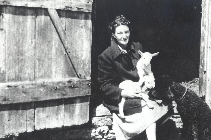 Nama mata-mata tersebut adalah Virginia Hall, tapi Nazi lebih sering menyebutnya dengan “wanita pincang”.