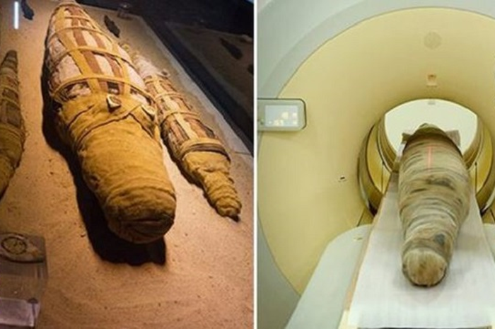 Para ilmuwan dan staf dari Museum Nasional Antiquities Belanda kagum dengan apa yang mereka temukan setelah memeriksa mumi dari Mesir kuno.