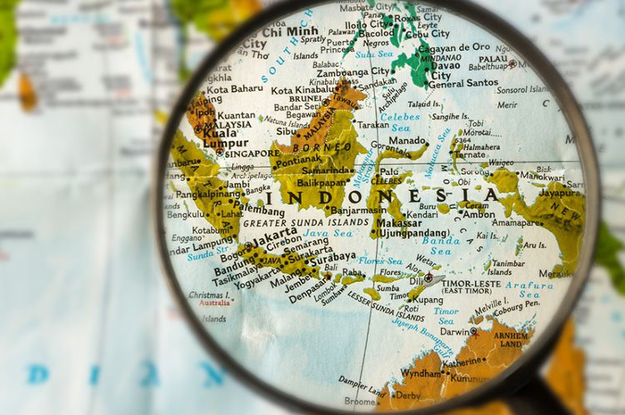 Hasil survei menunjukkan, aset negara berkembang seperti Brasil dan Indonesia menjadi yang paling diminati.