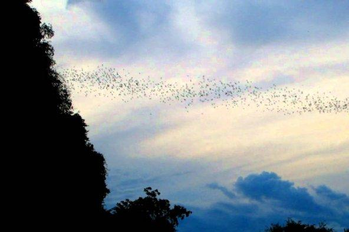 Banyak yang menduga suara dentuman misterius di Ogan Komering Ulu terkait dengan aktivitas Gunung Anak Krakatau. Benarkah?