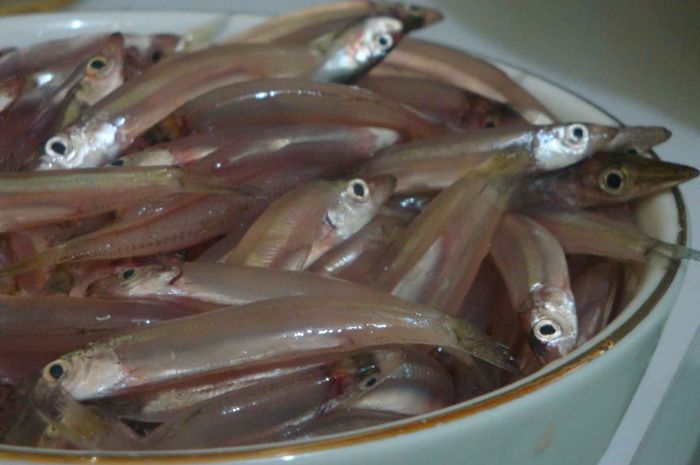 Tak semua makanan bisa memberikan manfaat besar bagi otak kita. Nah, makanan apa saja sih yang bisa membuat otak kita makin tinggi kualitasnya?