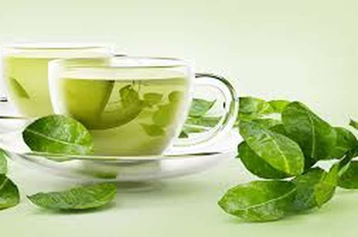 Benarkah teh hijau dapat membantu menurunkan berat badan? Para peneliti menjawab bahwa 10 cangkir per hari baru didapatkan manfaatnya.