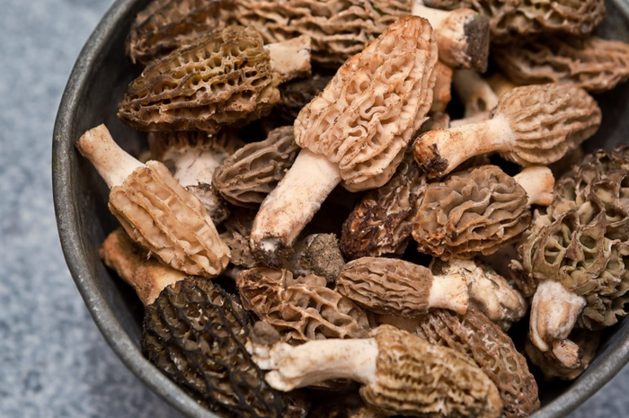 Namun, dilaporkan bahwa, wanita ini memakan hidangan dari restoran yang mengandung jamur Morchella, atau morels peniru.