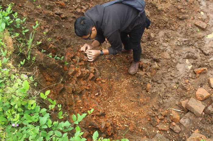 Sebuah kabar tersiar tentang penemuan banyak koin emas di situs kuno kawasan Sekarpuro, Malang, Jawa Timur.