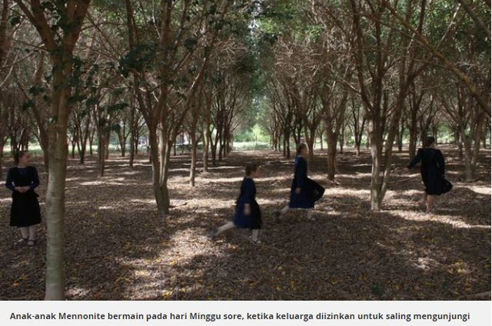 Namun, di balik ketenangan itu, ada sebuah persitiwa mengerikan yang menimpa penduduk Mennoite selama bertahun-tahun.