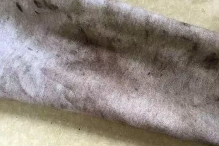 Ternyata rahasianya bukan dengan menggunakan detergen melainkan dengan minuman segar yang terkadang Anda konsumsi ini.