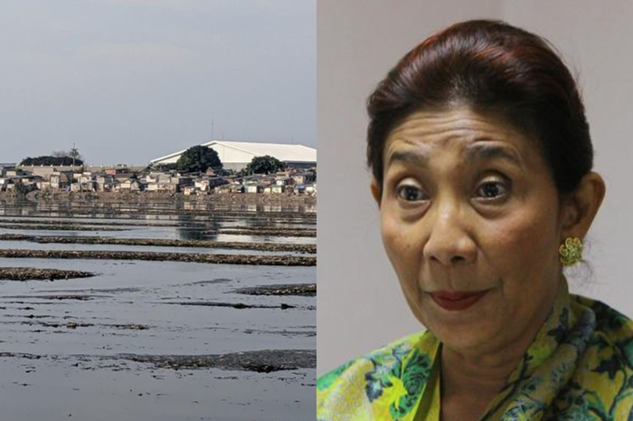 Kondisi Waduk Pluit yang belakangan terlihat mengkhatirkan mendapat perhatian tersendiri dari Menteri Kelautan dan Perikanan, Susi Pudjiastuti.