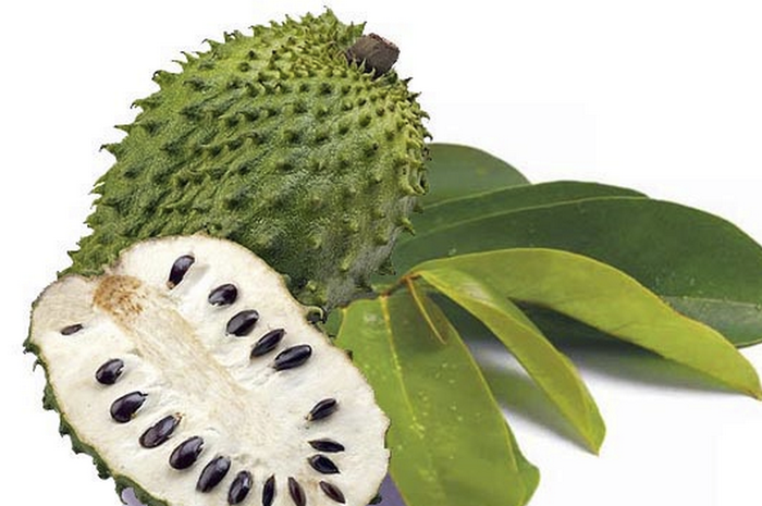 Meski buah sirsak dipercaya dapat mengobati kanker, nyatanya juga memiliki efek buruk bagi kesehatan.