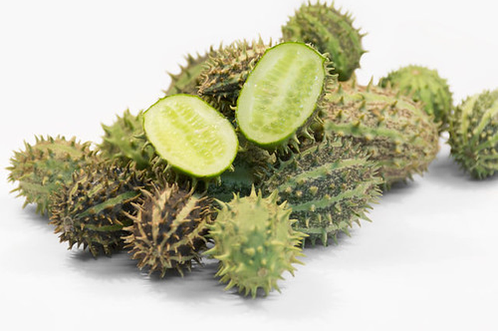 Bentuk asli buah dan sayuran ini sebelum 'dijinakkan' manusia ternyata memang menyeramkan. Pantas sampai direkayasa.
