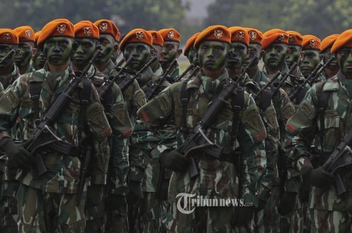 Ilustrasi TNI