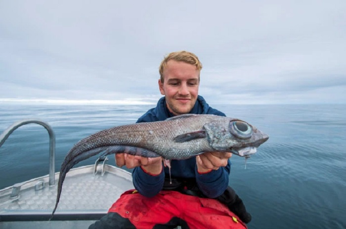 Seorang pria menemukan seekor ikan mirip monster atau alien yang menyeramkan dari laut saat dia memancing.