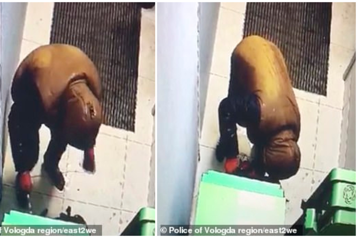 Menurut laporan, pria berusia 37 tahun ini tertangkap kamera CCTV berusaha membobol ATM Sberbank di kota Rusia.