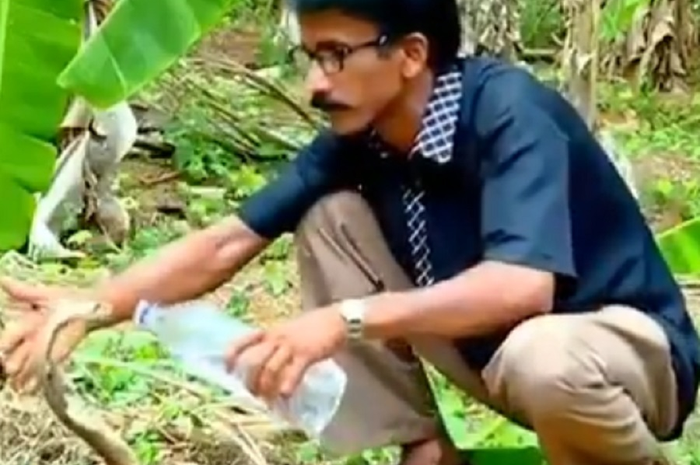 Video tersebut memperlihatkan seorang pria yang memberi minum ular kobra yang tengah kehausan. Seperti apa?