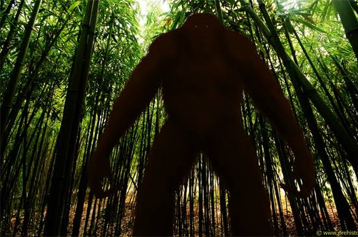 Hasilnya sungguh mengejutkan, studi mengungkapkan jika Gigantopithecus blacki adalah kerabat dekat dari orangutan moderen.