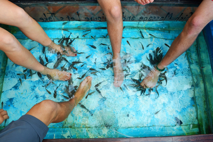 Anda pasti akan menikmati saat menggelikan ketika ikan-ikan kecil itu menghampiri kaki Anda dan melakukan ‘tugasnya’.