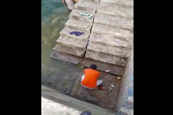 Beredar video warga berbondong-bondong menangkapi ikan yang berloncatan naik ke permukaan di wilayah Perairan Gorontalo.