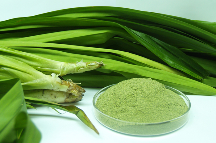 Aroma wangi daun padan juga menjadi salah satu daya tarik daun pandan disukai oleh masyarakat Indonesia.