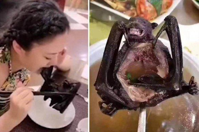 Klip yang viral di media sosial itu diduga diambil di sebuah restoran di Wuhan, pusat awal penyebaran virus mematikan ini.
