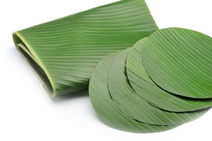 manfaat daun pisang untuk kesehatan