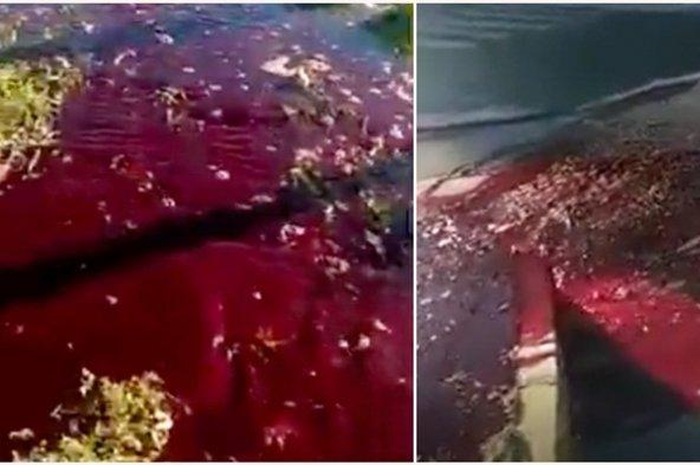 Kendati demikian banyak orang yang beranggapan jika air merah yang keluar merupakan pewarna yang ditambahkan dalam persediaan air. 