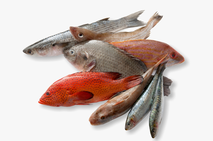 Ternyata selama ini kita salah menggunakan jeruk nipis untuk menghilangkan bau amis pada ikan, sebaiknya gunakan rempah ini.