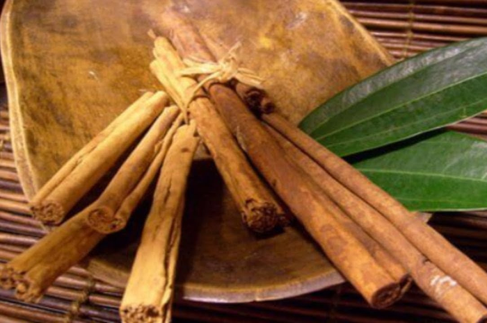 Coba minum air rebusan daun salam dan kayu manis, lihat hal luar biasa yang terjadi pada tubuh. Mau coba?
