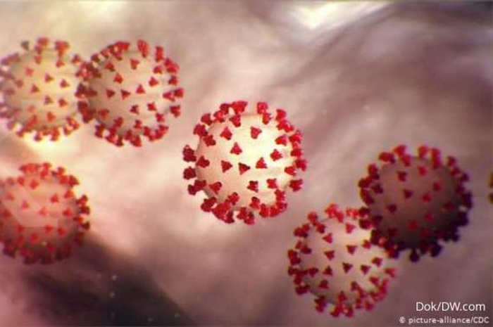 Virus corona yang sudah memakan korban hingga jutaan nyawa melawang, nyatanya punya kelemahan juga.