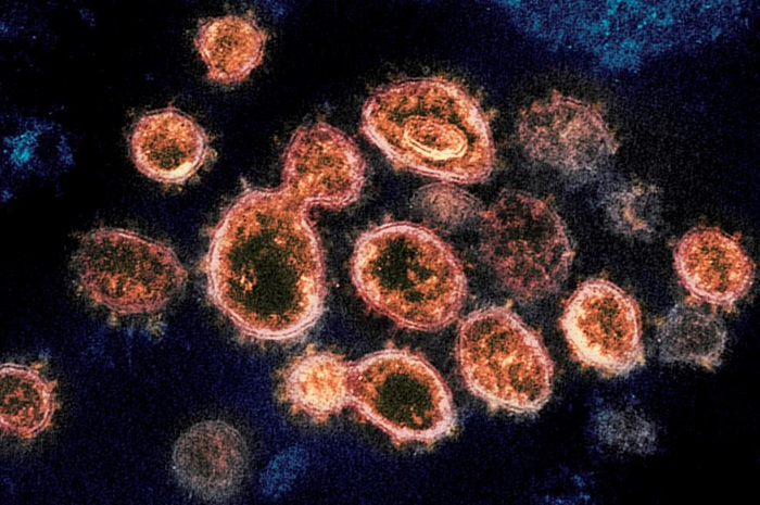 Ilustrasi varian baru mutasi ganda virus Corona B.1.617