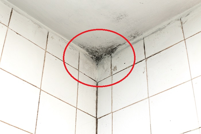 Menghilangkan jaur di kamar mandi