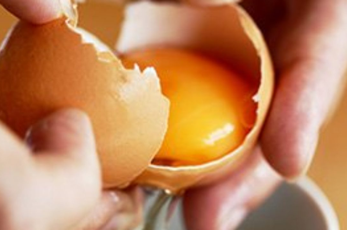 Telur