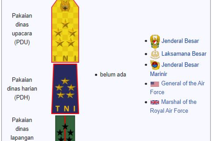 Tanda kehormatan TNI AU