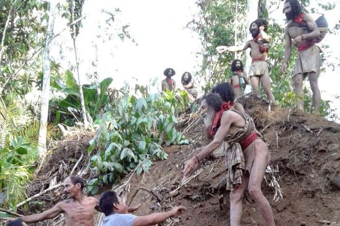 Beberapa Togutil di hutan halmahera