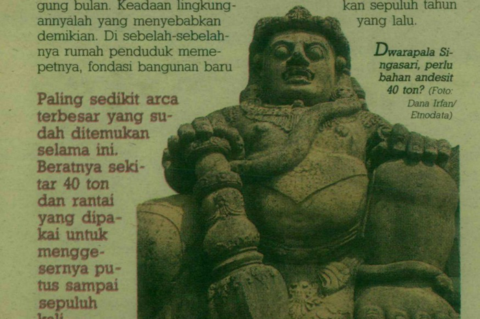 Arca Dwarapala disebut-sebut sebagai arca terbesar di Indonesia yang pernah ditemukan. Arca peninggalan Kerajaan Singasari itu disebut berbobot hingga 40 ton (Intisari)