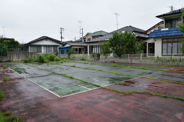 Babi Hutan Teradiasi Ditemukan Mengamuk di Dekat Reaktor Nuklir Fukushima