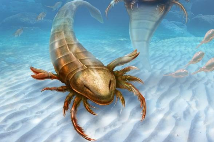 Pentecopterus Decorahensis, Kalajengking Seukuran Manusia yang Diduga Jadi Monster Laut Pertama di Bumi
