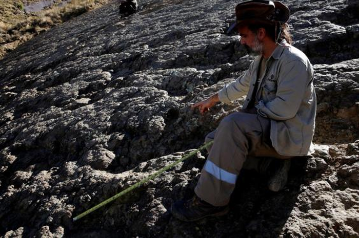 Pemandu Turis dari Bolivia Ini Tak Sengaja Menemukan Jejak Kaki Dinosaurus Paling Besar di Dunia